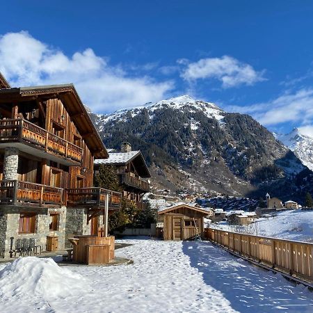 Chalet Des Trappeurs Coeur Vanoise 15 Persons 라 플라뉴 외부 사진