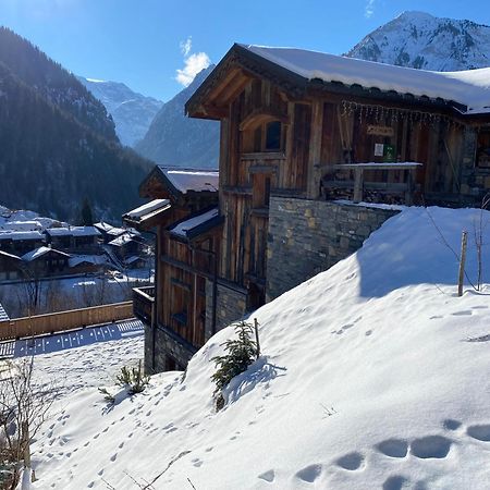 Chalet Des Trappeurs Coeur Vanoise 15 Persons 라 플라뉴 외부 사진